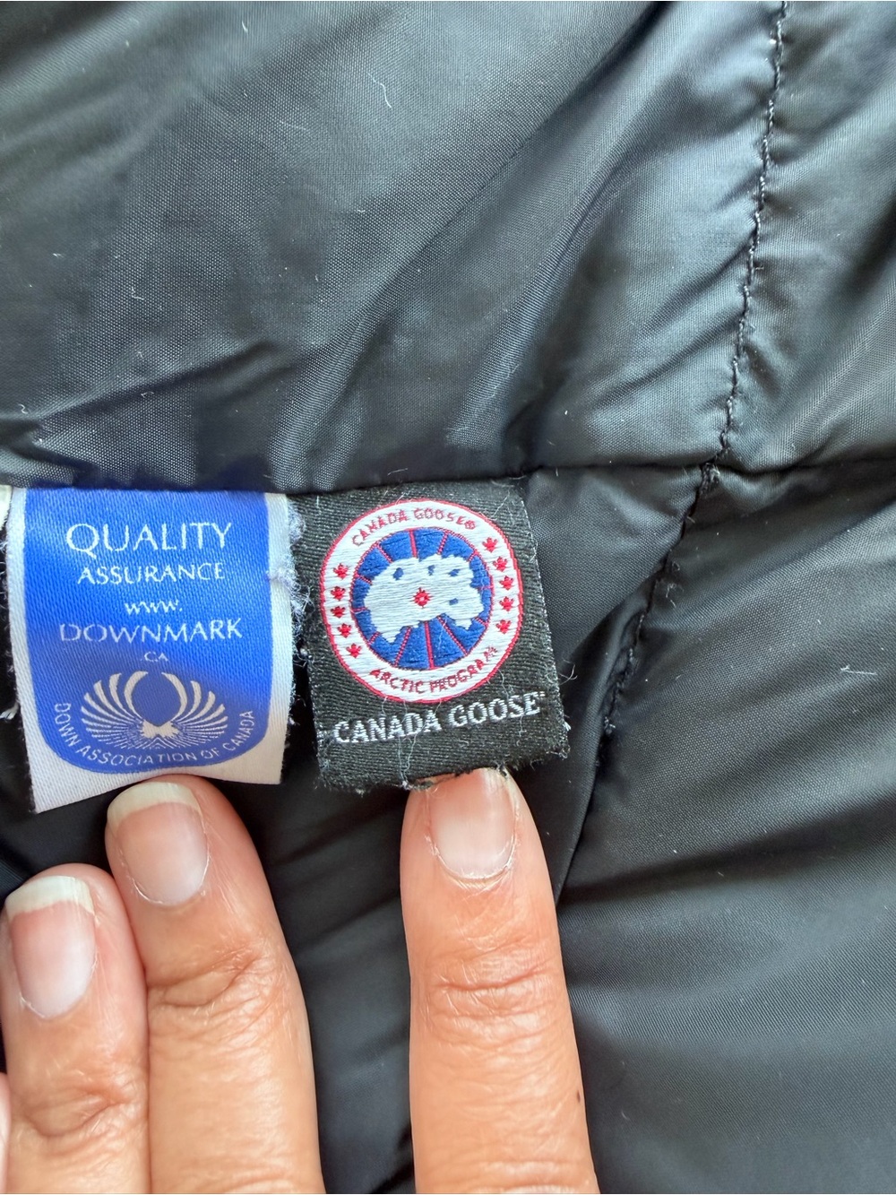 Canada Goose Black Kensington Parka with Fur Hood - Picture 8 of 11